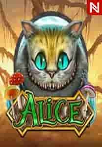 Alice